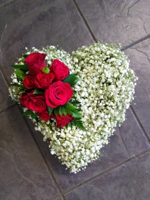 Gypsophila Heart